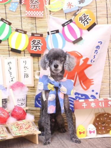 20240727もっぷくん